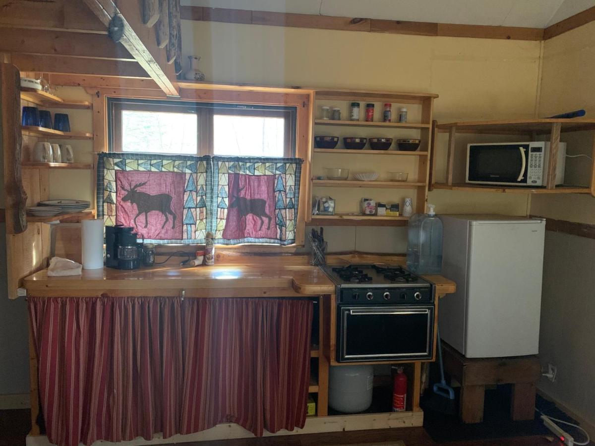 Meandering Moose Lodging Talkeetna Exterior photo