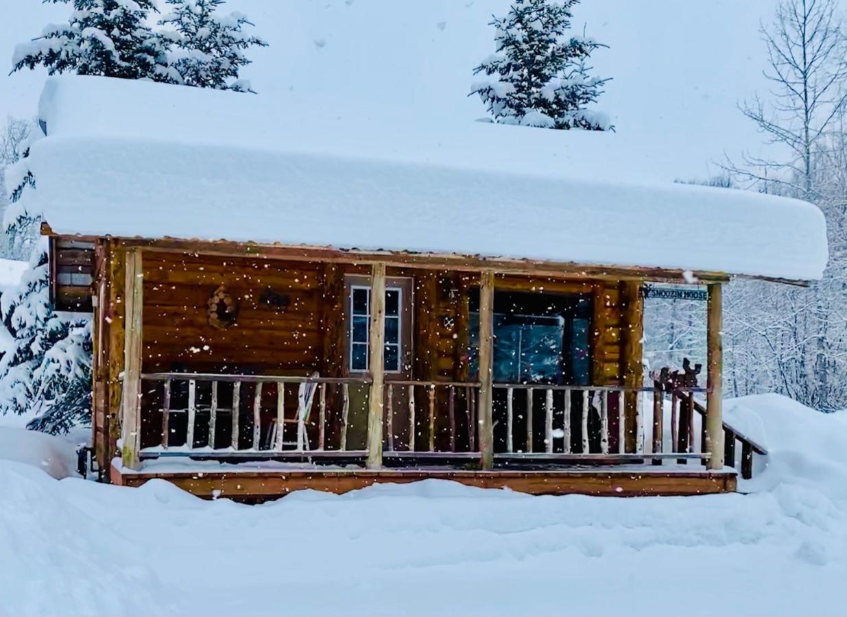 Meandering Moose Lodging Talkeetna Exterior photo