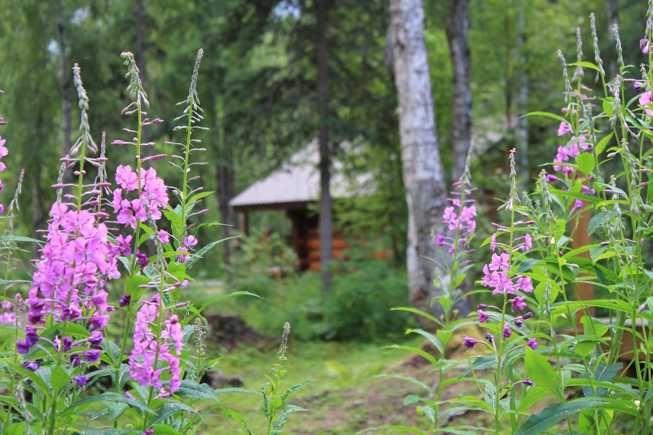 Meandering Moose Lodging Talkeetna Exterior photo