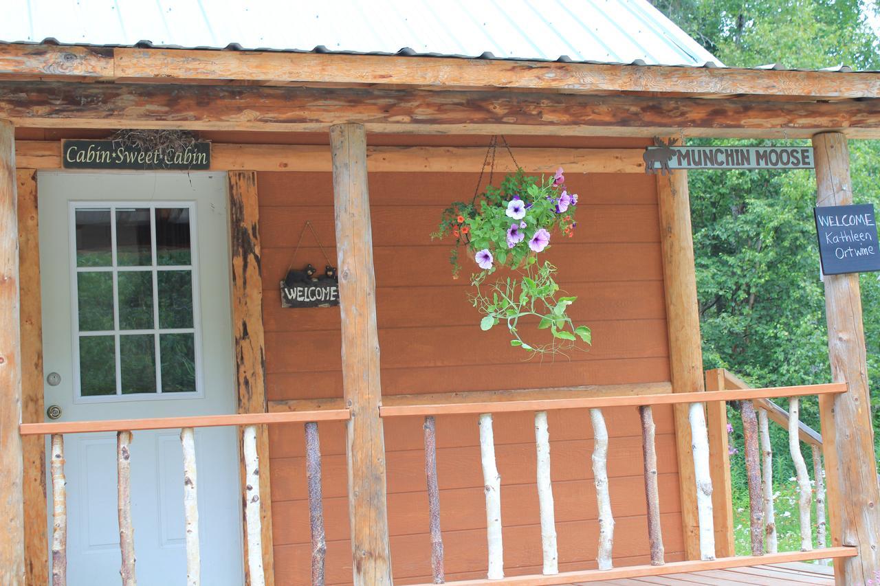 Meandering Moose Lodging Talkeetna Exterior photo